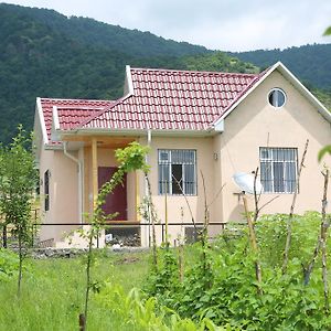 Qebele Vendam Villa Gabala Exterior photo