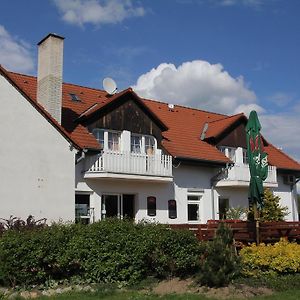 Penzion Salamoun Hotel Jevišovice Exterior photo