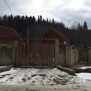 Guest House In Carpathians Myhove Exterior photo