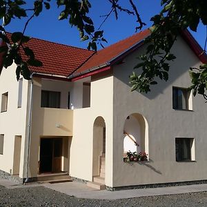 Pensiunea Agroturistica "Cheile Cibului" Villa Exterior photo