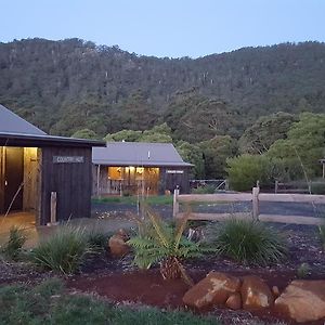 Rustic Hut Bush Retreat Bed and Breakfast Penguin Exterior photo