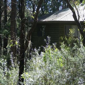 Twin Falls Bush Cottages Fitzroy Falls Exterior photo