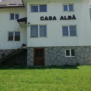 Casa Alba Villa Fundata Exterior photo