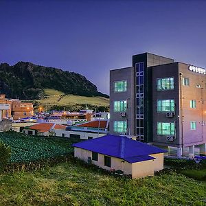 Ilchulsun Pension Hotel Seogwipo-stad Exterior photo