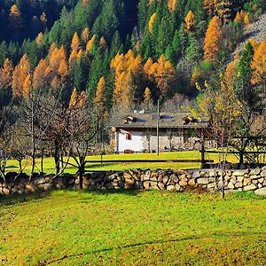 Maso Franceschella Bed and Breakfast Carano  Exterior photo