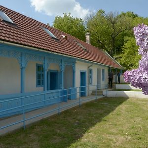 Kekfesto Vendeghaz Hotel Bukkszentkereszt Exterior photo