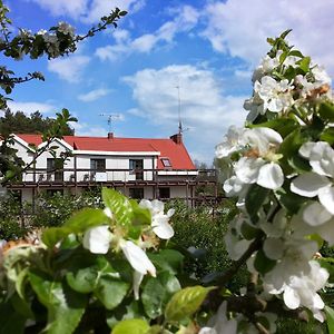 "Osada Lesna Zamordeje" Mazury Bed and Breakfast Exterior photo