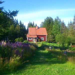 Skogslyckan Bed and Breakfast Orsa Exterior photo