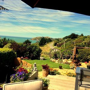 Noah'S Boutique Accommodation Moeraki Exterior photo