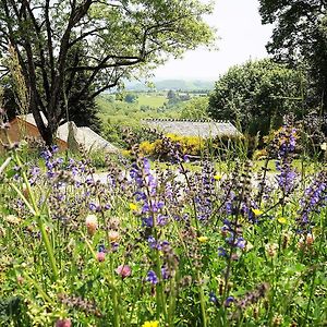 Domaine Des Marequiers Chambre Melilot Bed and Breakfast Saint-Germain-du-Teil Exterior photo