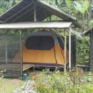 Herman Lantang Camp Hotel Bogor Exterior photo