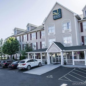 Quality Inn & Suites Cincinnati Sharonville Exterior photo