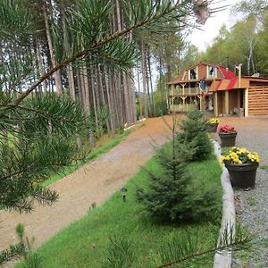 La Maison Sous Les Arbres Bed and Breakfast Saint Roch de Mekinac Exterior photo