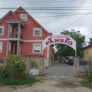 Flamingo Panzio Bed and Breakfast Székesfehérvár Exterior photo