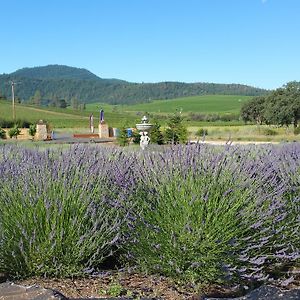 Thorn Hill Vineyards Villa Suites Clearlake Riviera Exterior photo