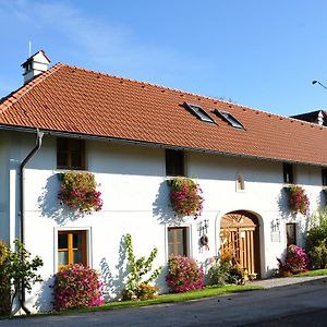 Vitalhof Roithinger Appartement Grieskirchen Exterior photo