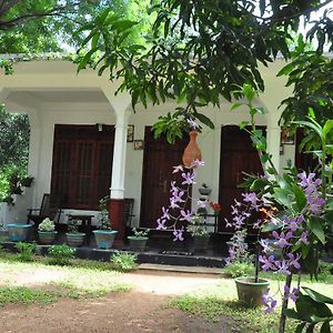 Sigiriya Flower Guest Hotel Exterior photo