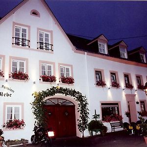 Gasthaus Zur Rebe Hotel Mehring  Exterior photo