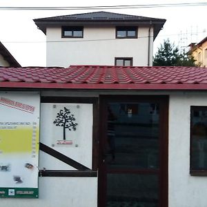 La Livada Bed and Breakfast Otopeni Exterior photo