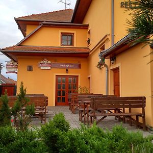 Penzion Bouquet Hotel Horni Vestonice Exterior photo