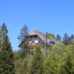 Boutique Hotel Kokoschinski Feldberg  Exterior photo