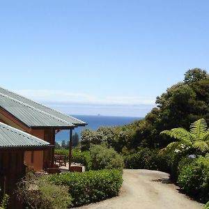 Earthsong Lodge Tryphena Exterior photo