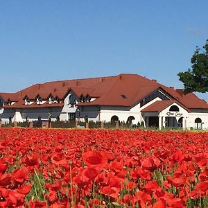 Hotel Dwór Galicja Stalowa Wola Exterior photo