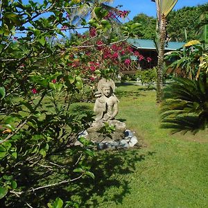 J&H Garden Cabinas Appartement Bocas del Toro Exterior photo