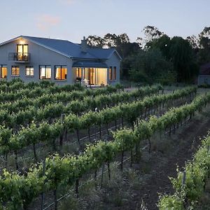 Barossa Shiraz Estate Villa Lyndoch Exterior photo