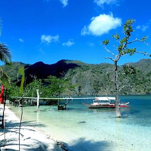 Majika'S Island Resort Apo Island Exterior photo