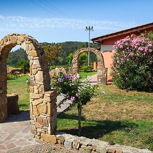 Poggio Mariett Bed and Breakfast Castiglione della Pescaia Exterior photo