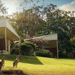 Boonah Valley Motel Exterior photo