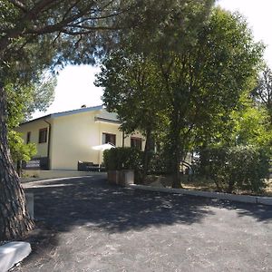 Domus In Viridi Bed and Breakfast Rome Exterior photo