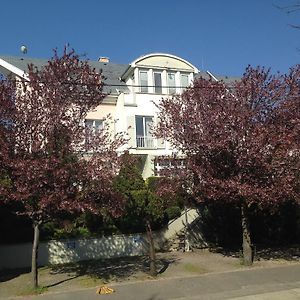 Belle Fleur Panzio Bed and Breakfast Boedapest Exterior photo