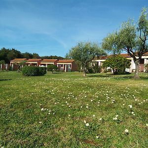 Naturist Park Koversada Villas, Vrsar Exterior photo