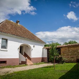 Casa Din Barcut Pension Exterior photo