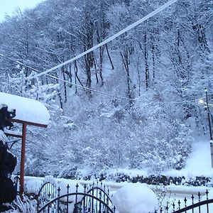 Тушер Hotel Rachiv Exterior photo