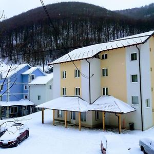 Vila Vuk Wolf Hotel Brzeće Exterior photo