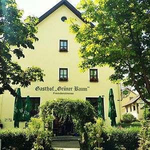 Hotel-Landgasthof Gruener Baum - Dittigheim Tauberbischofsheim Exterior photo