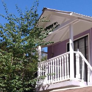 Cabanas Rosy Isla Negra Exterior photo