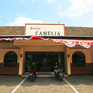 Hotel Camelia Malang Exterior photo