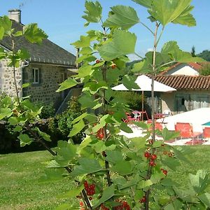 La Maison Pres D'Aurillac Bed and Breakfast Giou-de-Mamou Exterior photo