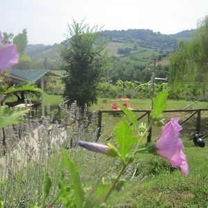 Le Spighe Agriturismo Villa Cesena Exterior photo