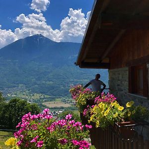 Agriturismo Cavria Bed and Breakfast Castione Andevenno Exterior photo