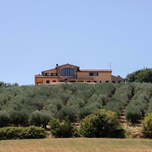 B&B La Casa Fra Gli Olivi Marsciano Exterior photo