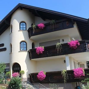 Pension Haus Erika Hotel Stadtprozelten Exterior photo