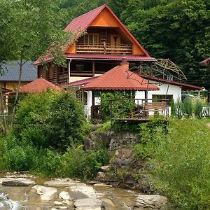 Yankovsky Dvir Hotel Polyana  Exterior photo