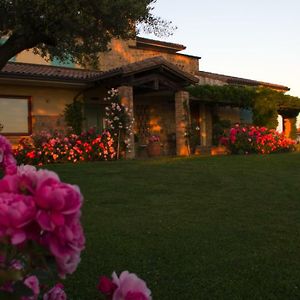 Il Giardino Delle Rose Bed and Breakfast Santa Maria Nuova Exterior photo