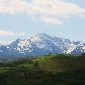 Mouflon Noir Villa Omex Exterior photo