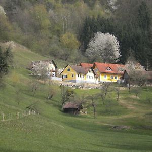 Buchschneider - Ferienhaus Maier - Landhof Villa Schwarzautal Exterior photo